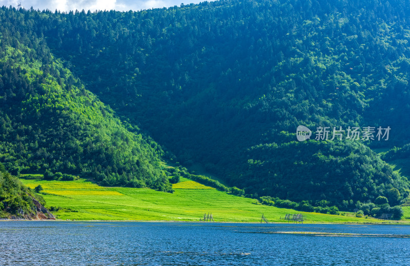 香格里拉纳帕海景区