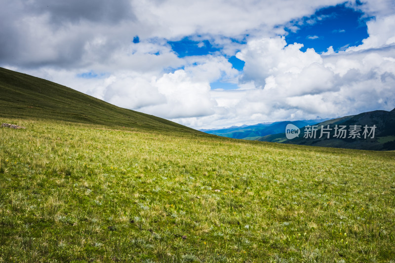 草原牧场山川自然风景