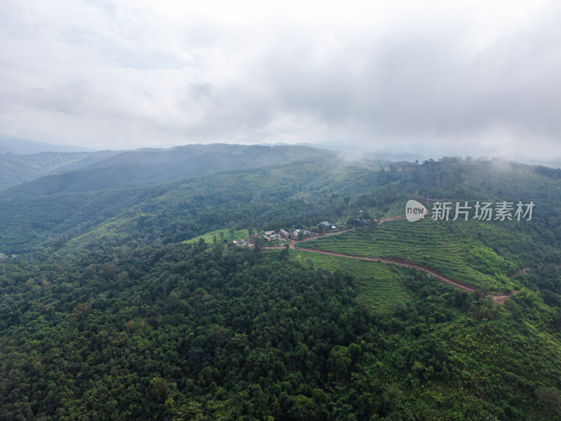 航拍绿意盎然的山脉和茂密森林