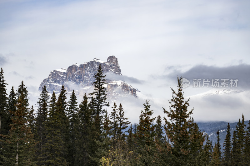 加拿大落基山脉森林之上的雪山景观