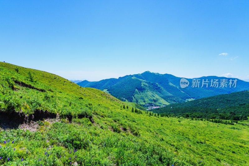 夏季蓝天白云绿色高山草甸群山大气风光