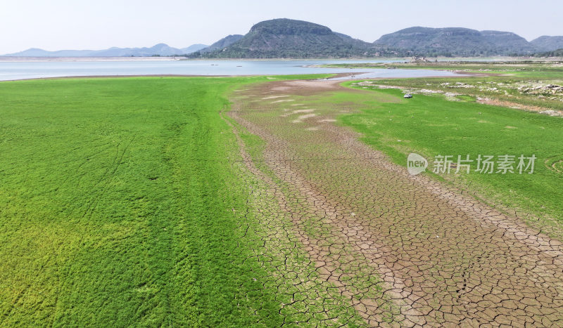 山东枣庄周村水库湿地草原风光