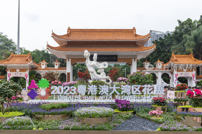 深圳仙湖植物园花展