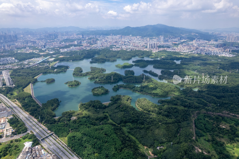 深圳龙华区茜坑水库