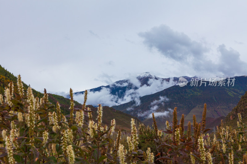 川藏线雪山风光