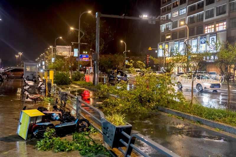 台风携带暴雨造成树木损毁车辆吹倒