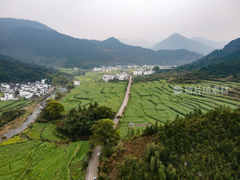 安徽江岭油菜花山谷梯田白墙徽派建筑群航拍