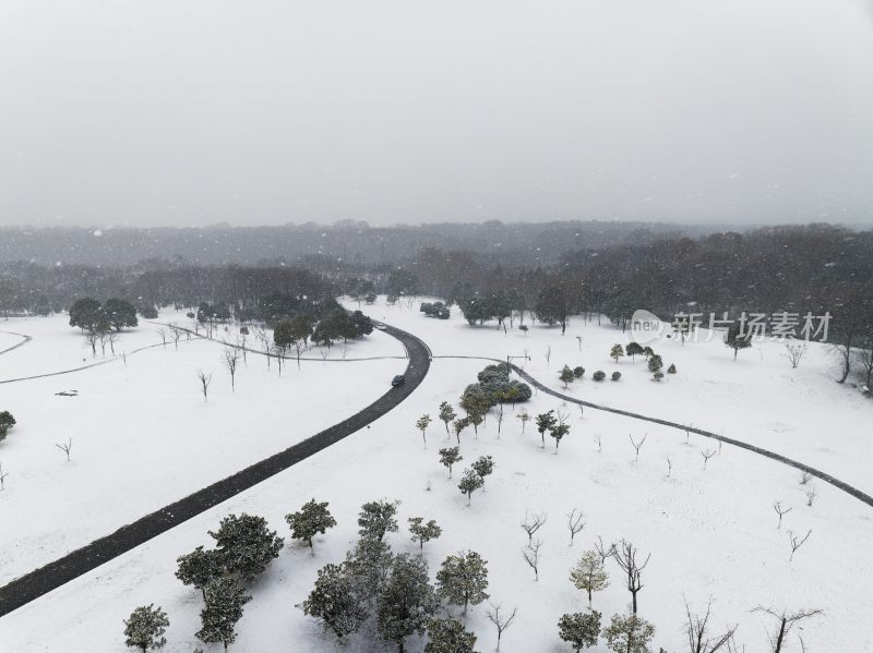 南京体育公园雪景