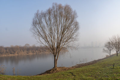 广利河湿地公园冬景