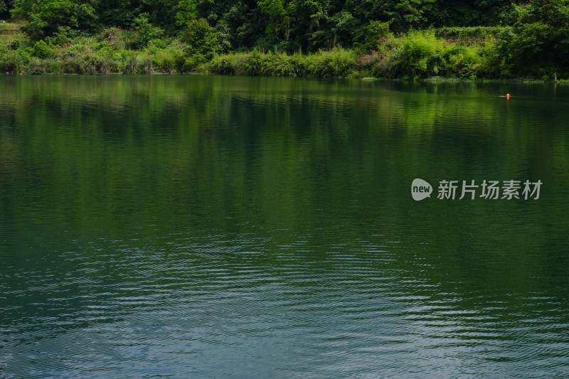 碧绿的湖水湖面特写