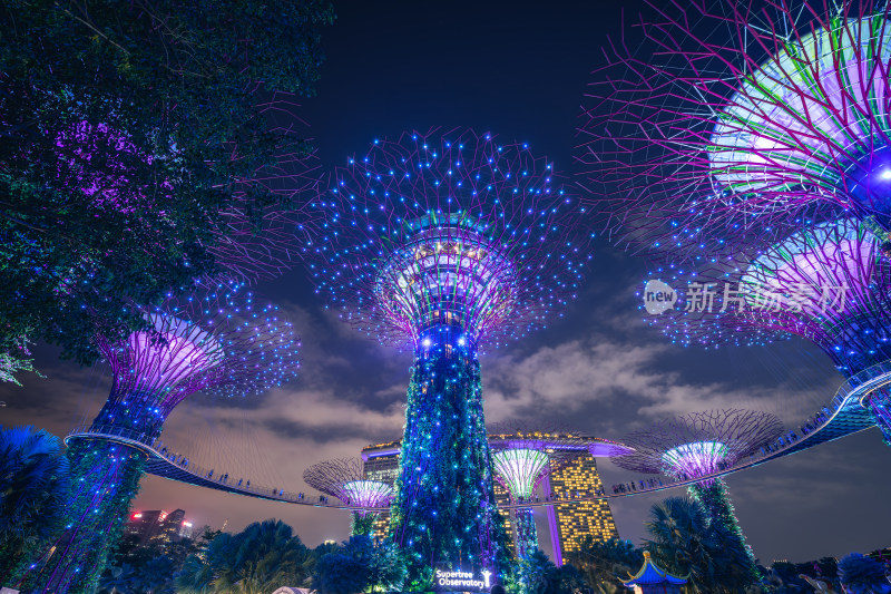 新加坡 滨海湾花园 擎天树 新加坡地标夜景