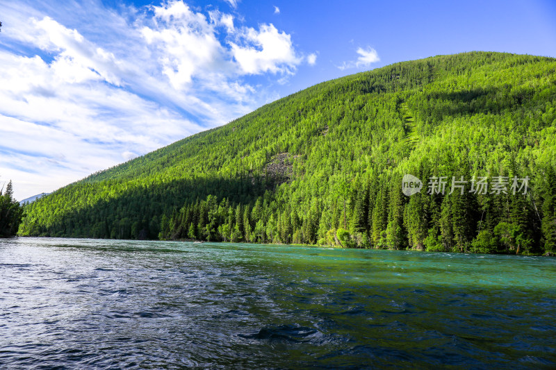 新疆阿勒泰喀纳斯森林河流自然风景旅游