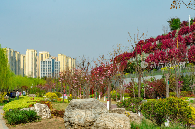 渭南市春天的南湖公园风景