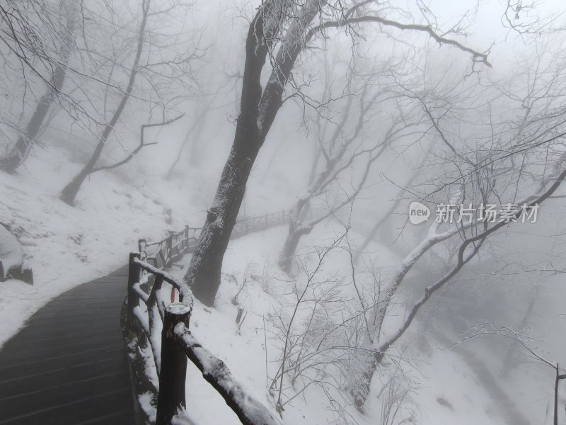 秦岭南五台山雪景雾凇