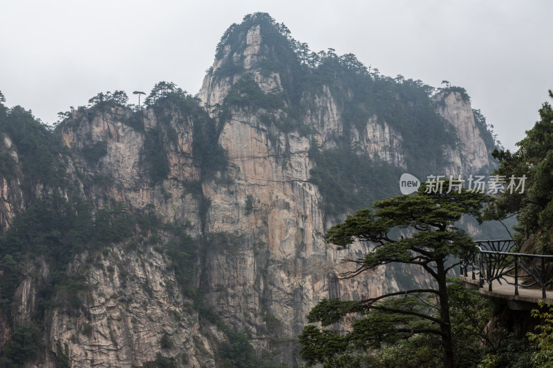 云海中的大明山