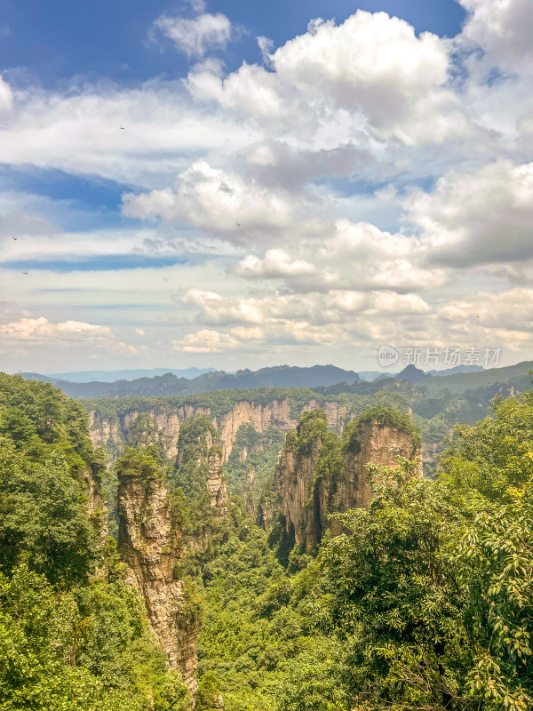 中国湖南张家界景区奇特山峰与茂密森林