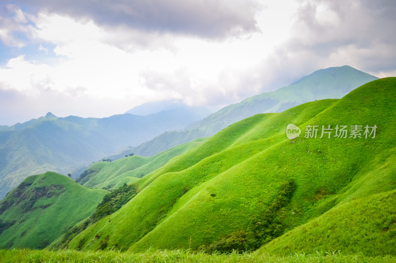 江西武功山高山草甸