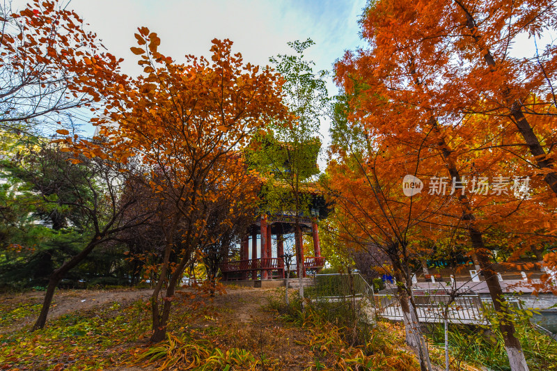 秋日园林中式凉亭风景