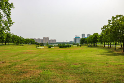 武汉黄家湖生态湿地公园