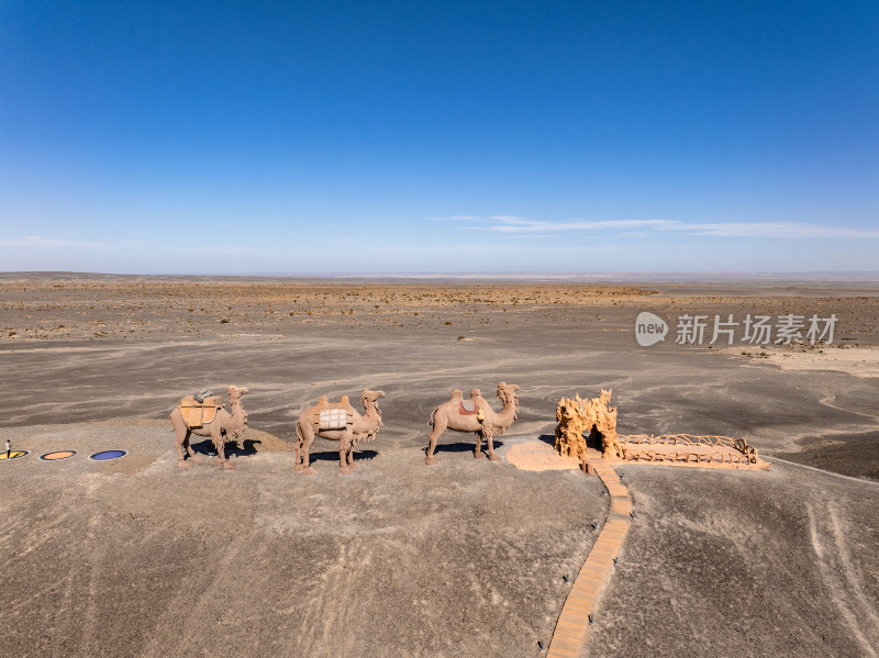 中国新疆哈密伊吾胡杨林生态园景区