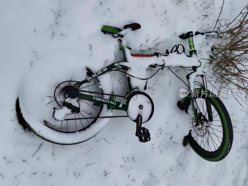 被积雪覆盖的青岛牌自行车