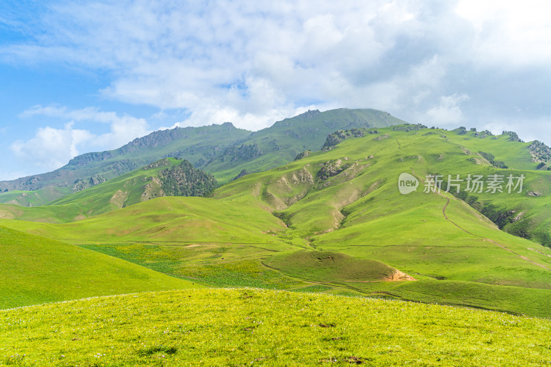 青海祁连县卓尔山景区，夏季起伏的高山牧场