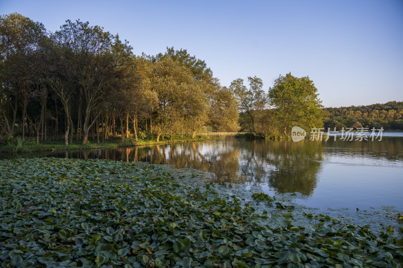 杭州西湖茅家埠江南水乡风景