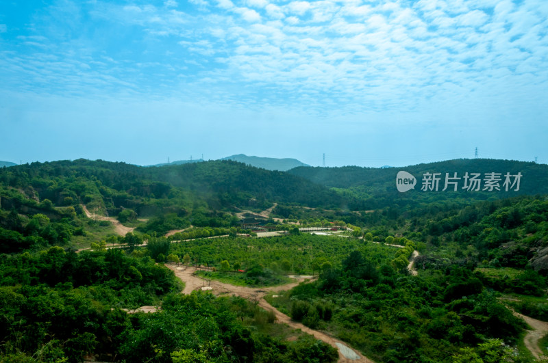 山中的自然风景