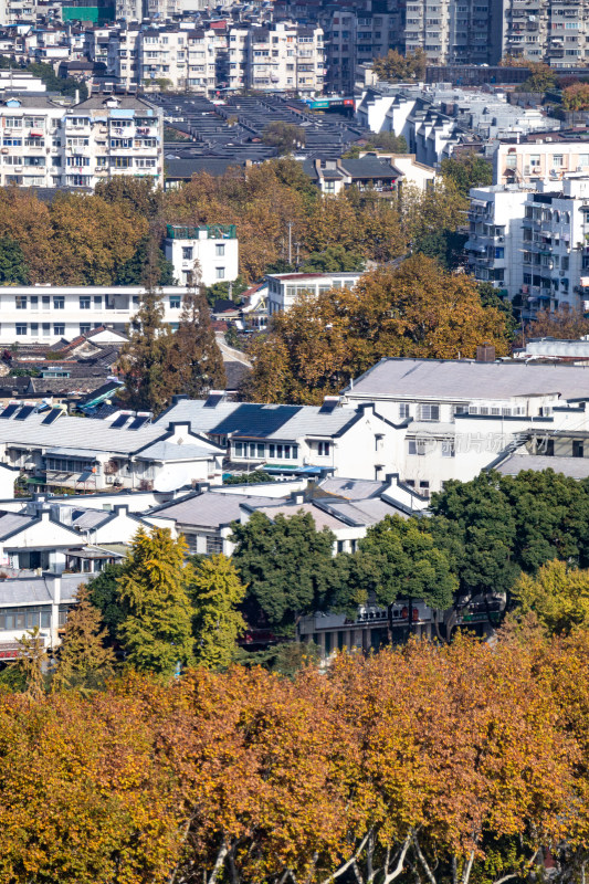 南京城市建筑与自然景观融合全景