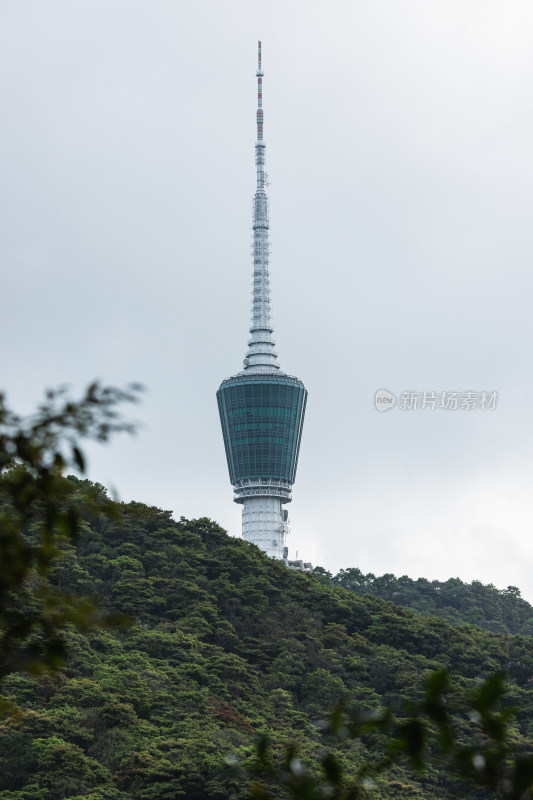 深圳梧桐山