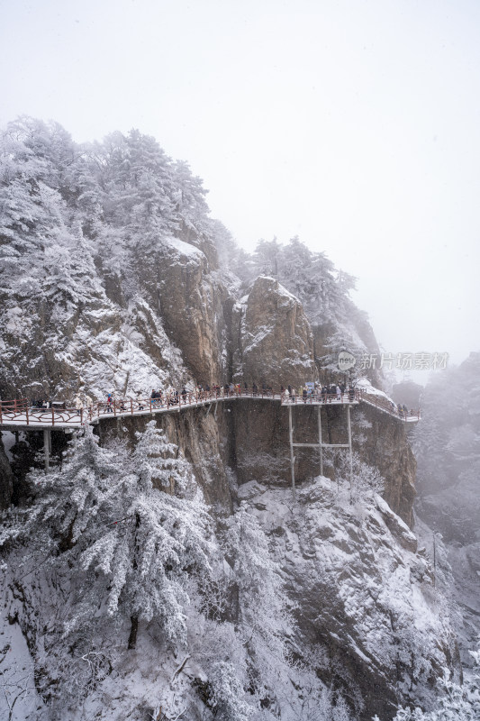 老君山下雪大山森林雾凇景观