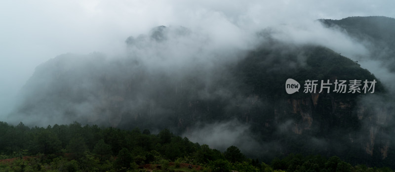 云雾缭绕的山里