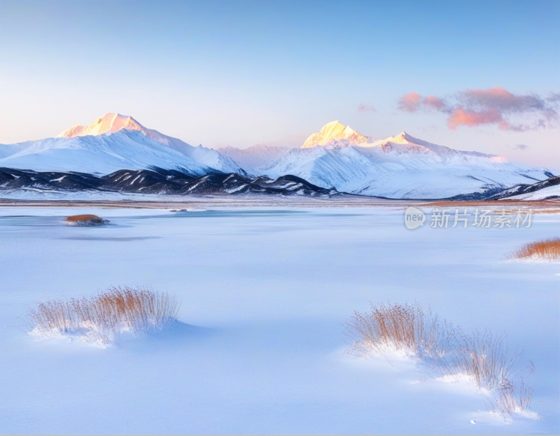 高山雪地