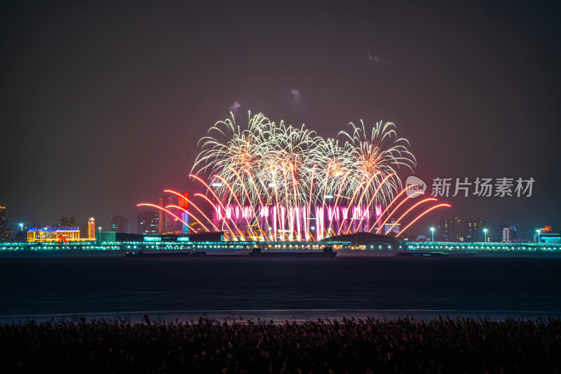 新年夜空中绽放的烟火