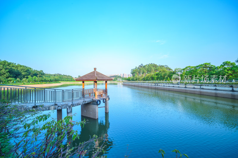 广州番禺金山湖文化公园湖泊树林自然风光