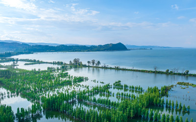 盛夏时节的晋宁南滇池国家湿地公园