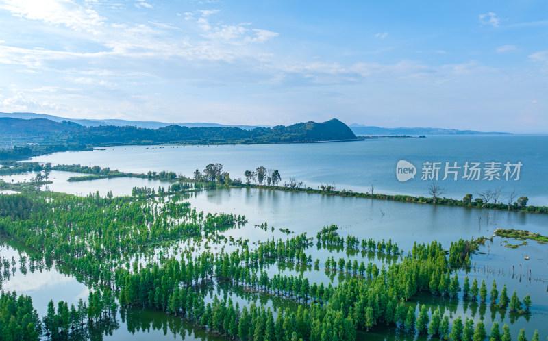 盛夏时节的晋宁南滇池国家湿地公园