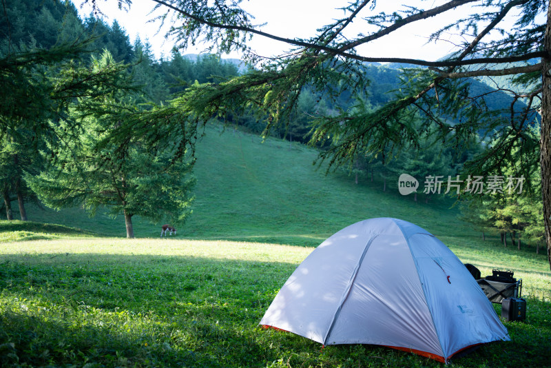 阳光森林草原露营帐篷