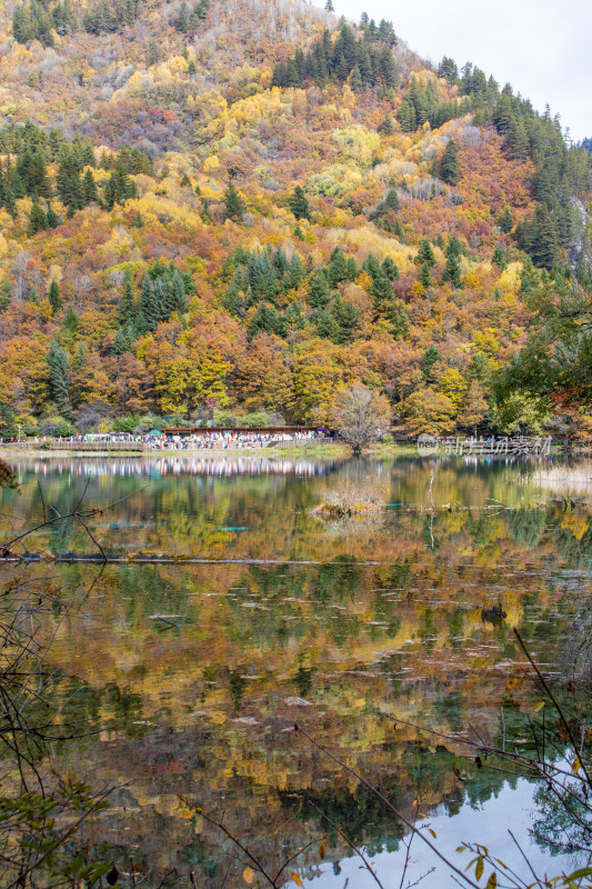 九寨沟秋色，五花海彩林层林尽染湖光山色