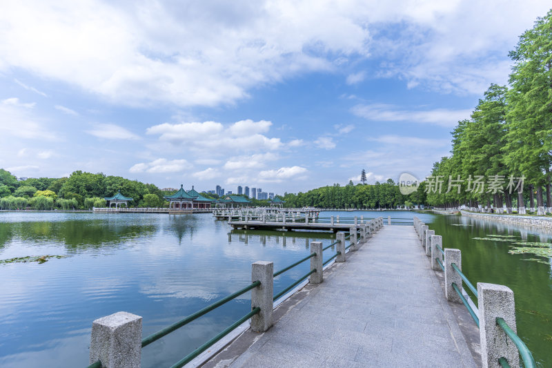 武汉东湖风景区碧潭观鱼景点风光