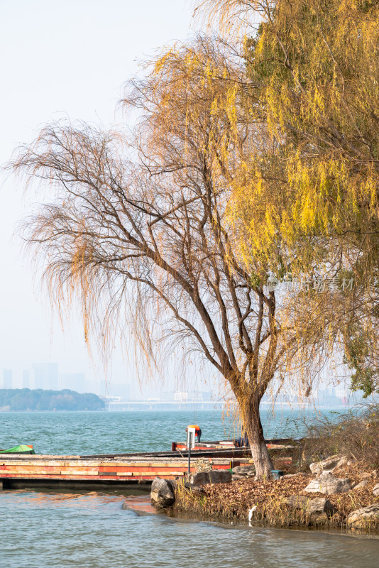 江苏苏州金鸡湖景区桃花岛风景