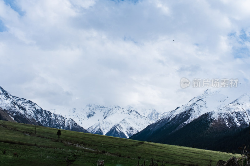 新疆夏塔雪山草原绝美震撼风光