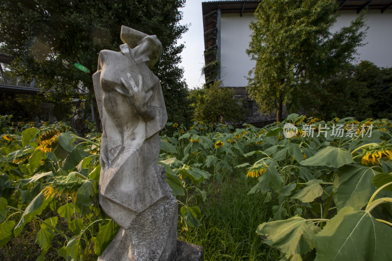 美术学院户外雕塑在向日葵丛中