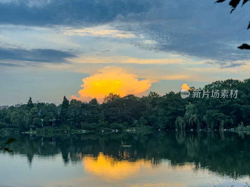 夕阳西下的天空衬托下树木的轮廓