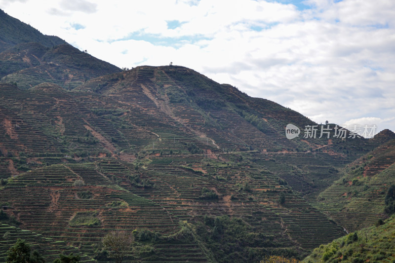 山林间的全景