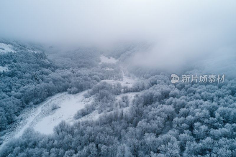 冬季雪林雾霭航拍景象