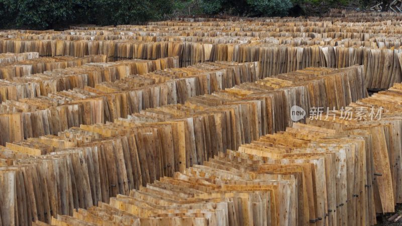 多层实木板晒制制作工艺林业