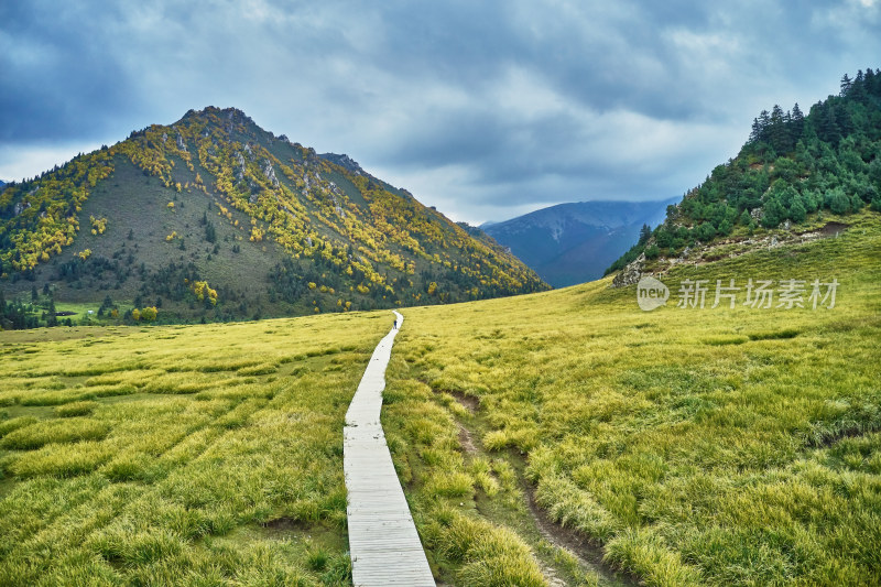 甘肃武威天柱县冰沟河景区