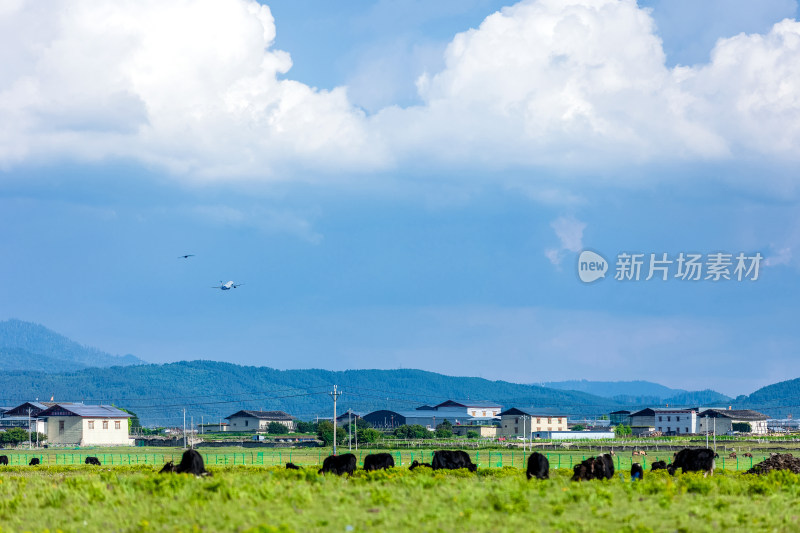 香格里拉纳帕海景区