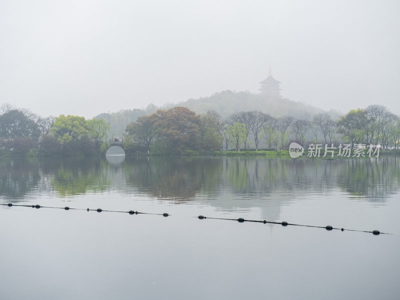 杭州西湖花港观鱼风景